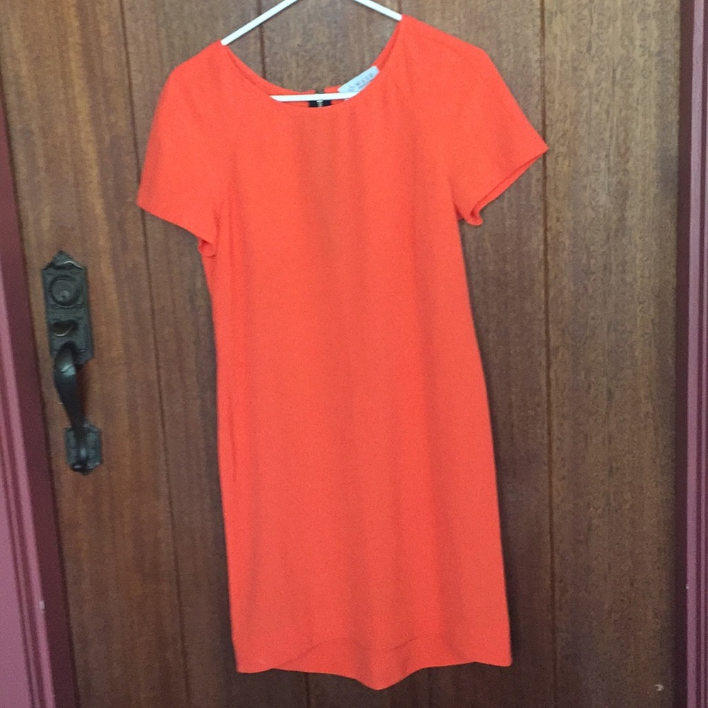 Cute Summer Dress with Zip Detail in Back